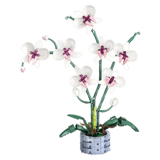 Orchid blox